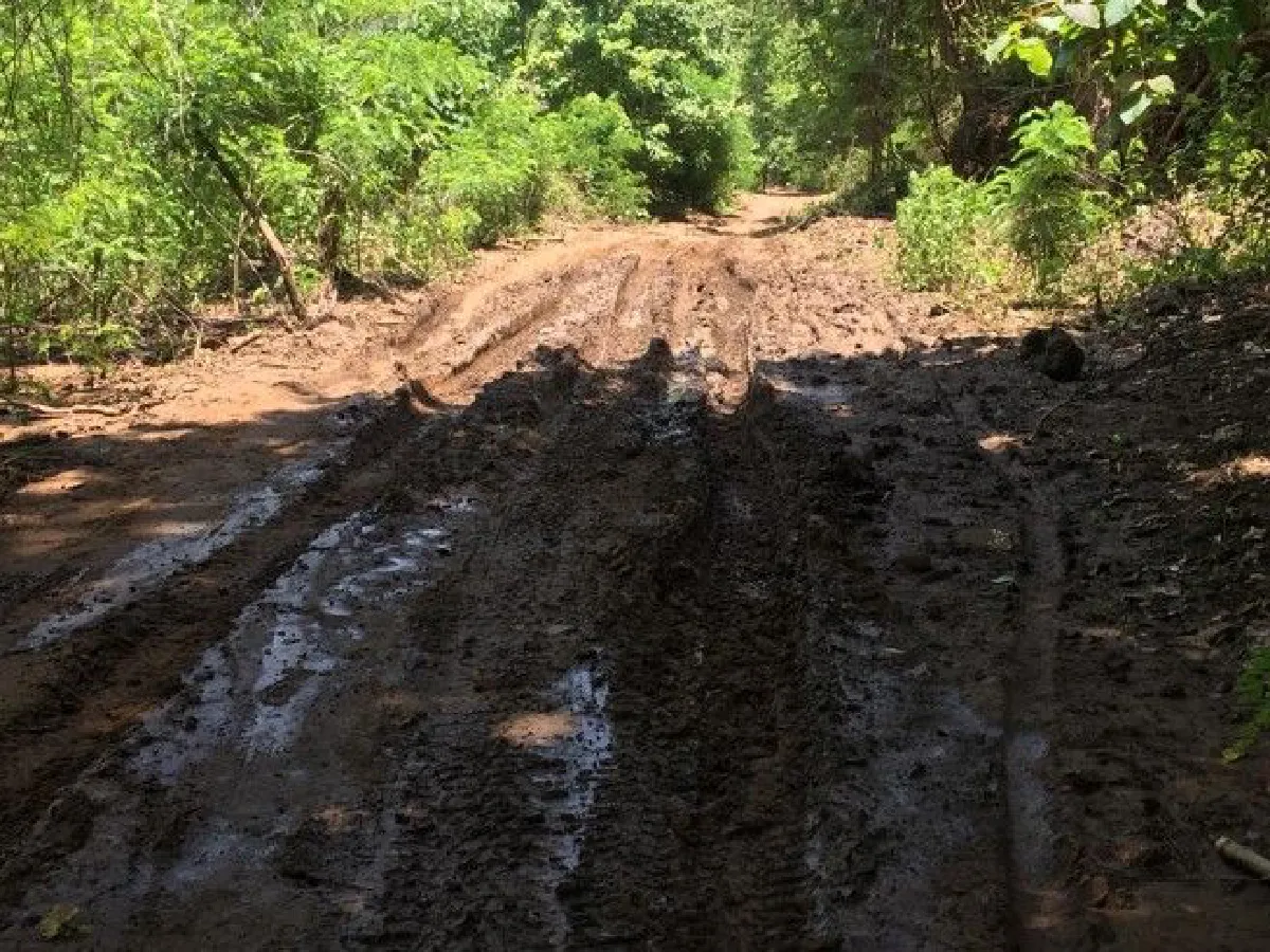 "อ้อ ชญาภา" จากเด็กดอยสู่คุณครูผู้เสียสละ หัวเข่าพังเพื่อนักเรียน