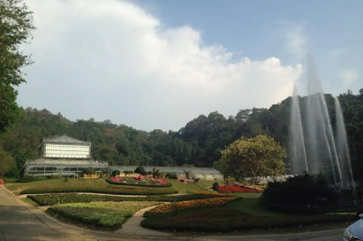 คาโนปี วอล์กเวย์ เดินย่องท่องป่าเหนือ