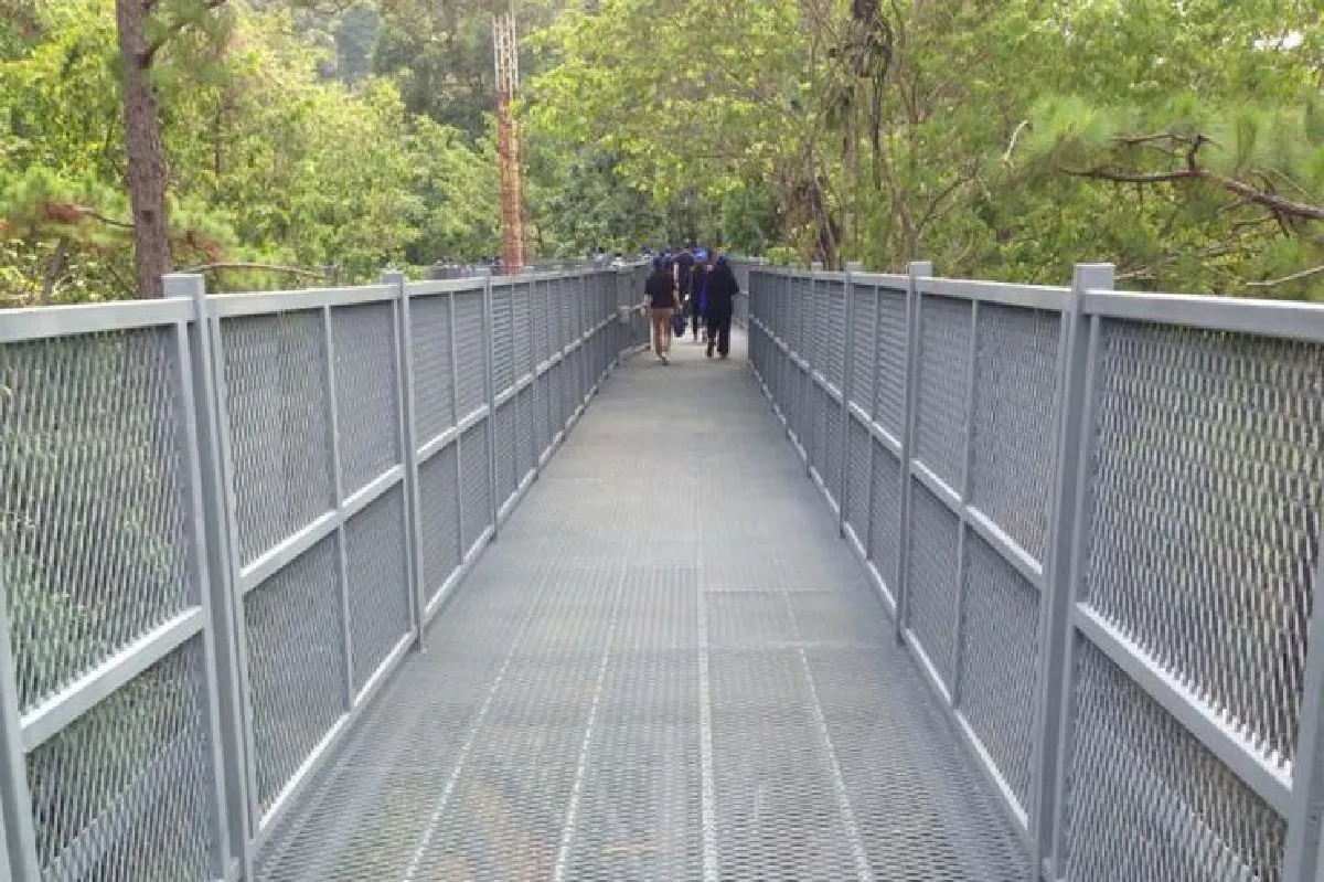 คาโนปี วอล์กเวย์ เดินย่องท่องป่าเหนือ