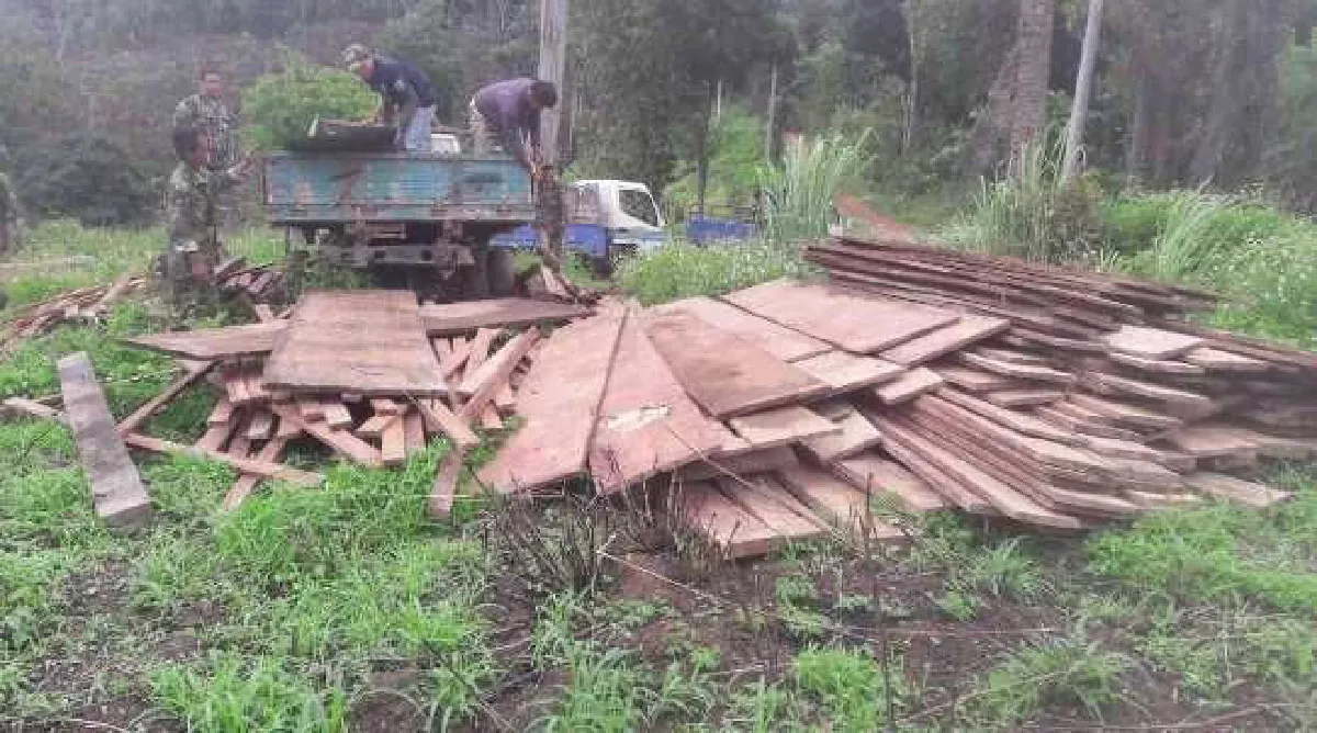 ผู้ว่าฯลำปางสั่งย้าย "ปลัดฝ่ายป้องกันอ.งาว" หลังมีภาพคนถือปืนหลวงร่วมแก๊งขนไม้เถื่อน