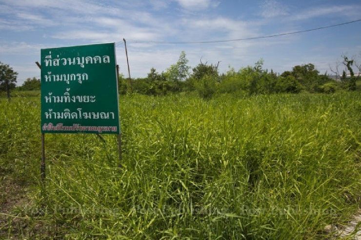 สนช.เคาะใช้ภาษีที่ดินปี2562 สนช.เคาะใช้ภาษีที่ดินปี2562