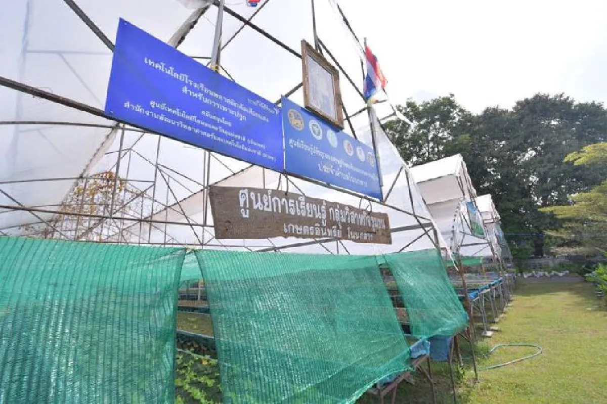 ‘เกษตรอินทรีย์หนองมัง’ ผลผลิตแห่งอุดมการณ์ผสานนวัตกรรม