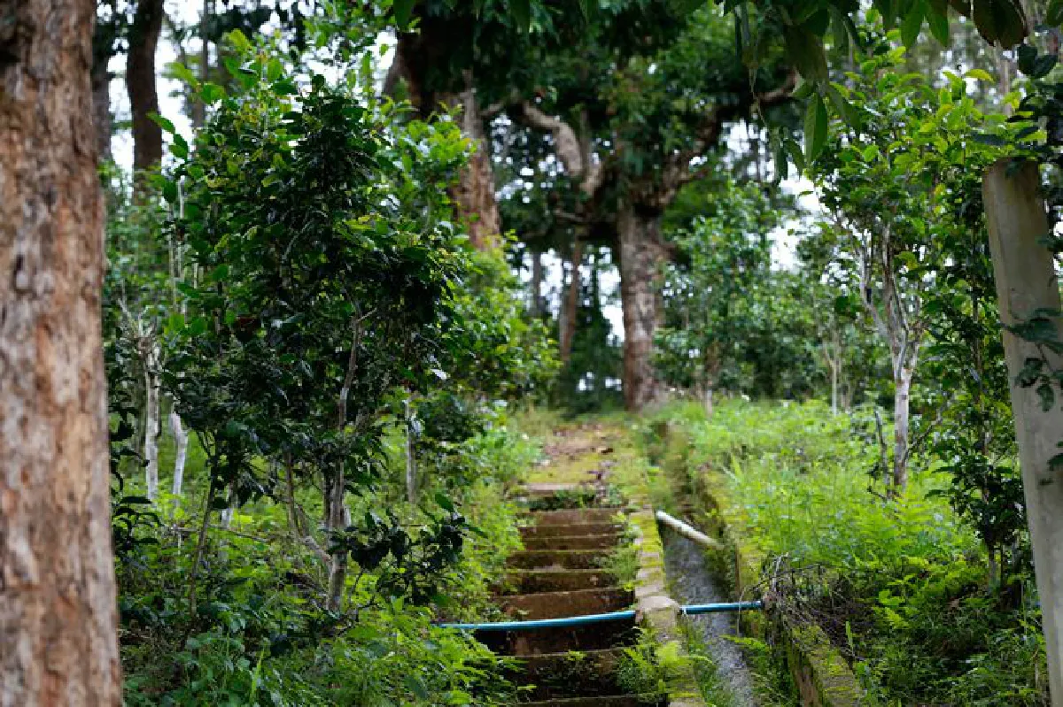 อากาศดี อารมณ์ดี ‘สกาดดี’