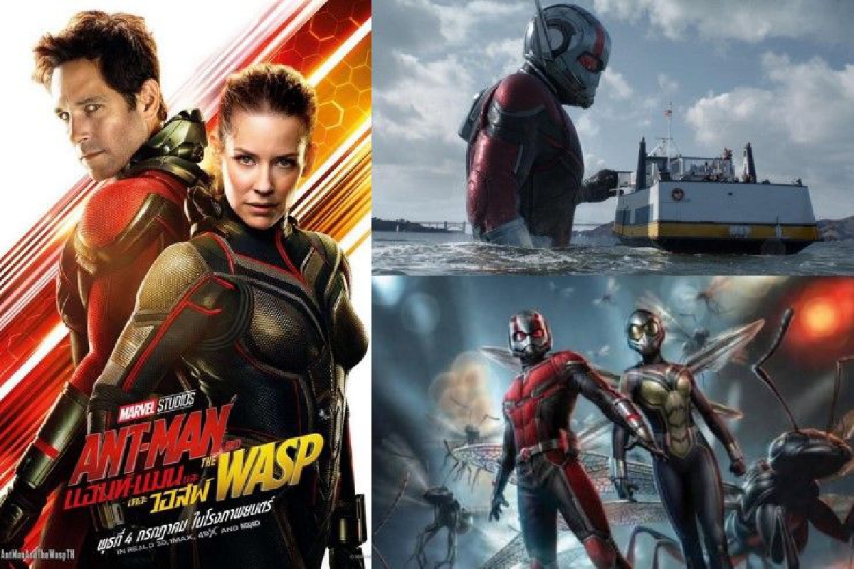 รีวิว Ant-Man 2 : แอคชั่นสนุกมีมุขฮา ย่อขนาดโชว์เจ๋งเดี๋ยวเล็กเดี๋ยวใหญ่ รีวิว Ant-Man 2 : แอคชั่นสนุกมีมุขฮา ย่อขนาดโชว์เจ๋งเดี๋ยวเล็กเดี๋ยวใหญ่