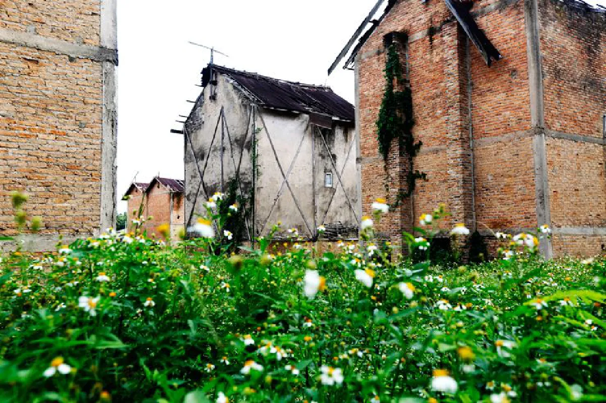 ใจกลางความสุข เขียวชอุ่มกลางภู ‘เชียงกลาง’