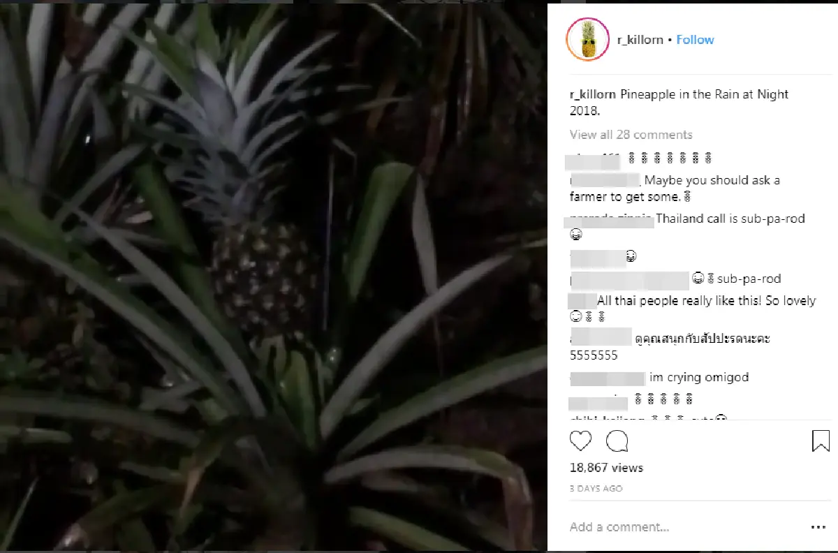 สับปะรดฟีเวอร์! นักข่าวต่างชาติติดใจผลไม้ไทย ขณะลงพื้นที่รายงานข่าวถ้ำหลวง