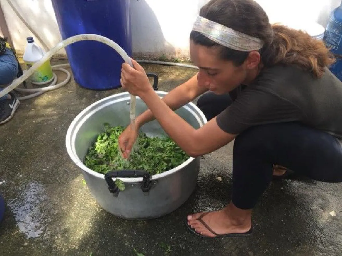 สาวฝรั่งตั้งใจมาเที่ยวเมืองไทย สุดท้ายกลายเป็นแม่ครัวที่ถ้ำหลวง