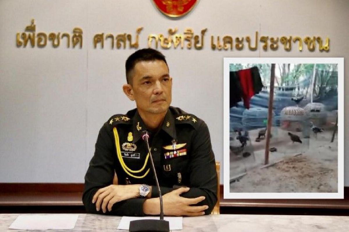 ทบ.แจง"คลิปพลทหารเลี้ยงไก่"เป็นลักษณะการไหว้วานให้ทำ ทบ.แจง"คลิปพลทหารเลี้ยงไก่"เป็นลักษณะการไหว้วานให้ทำ