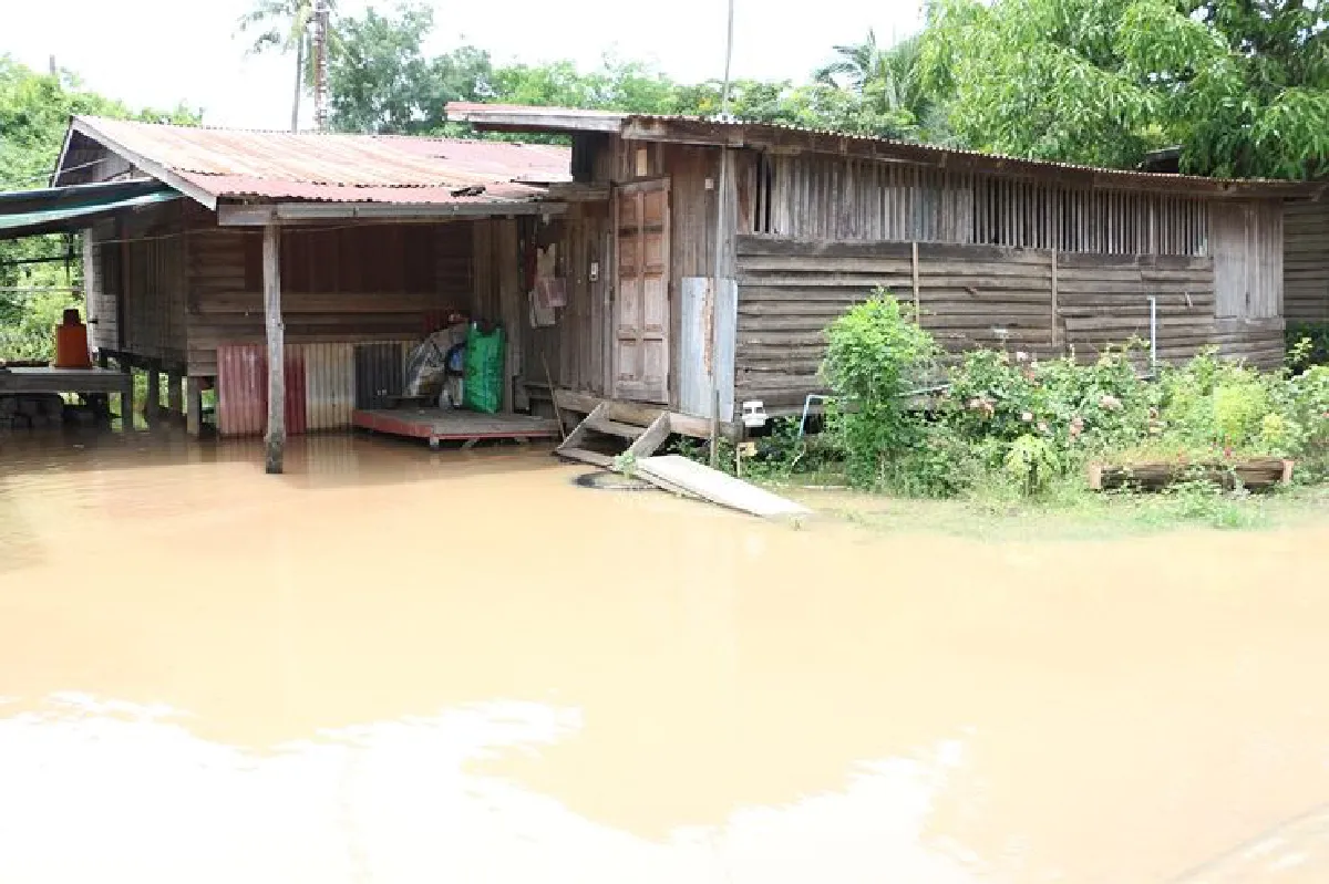 ฝนถล่มพิจิตรชุมชนตลาดทับคล้อใต้อ่วมน้ำท่วม