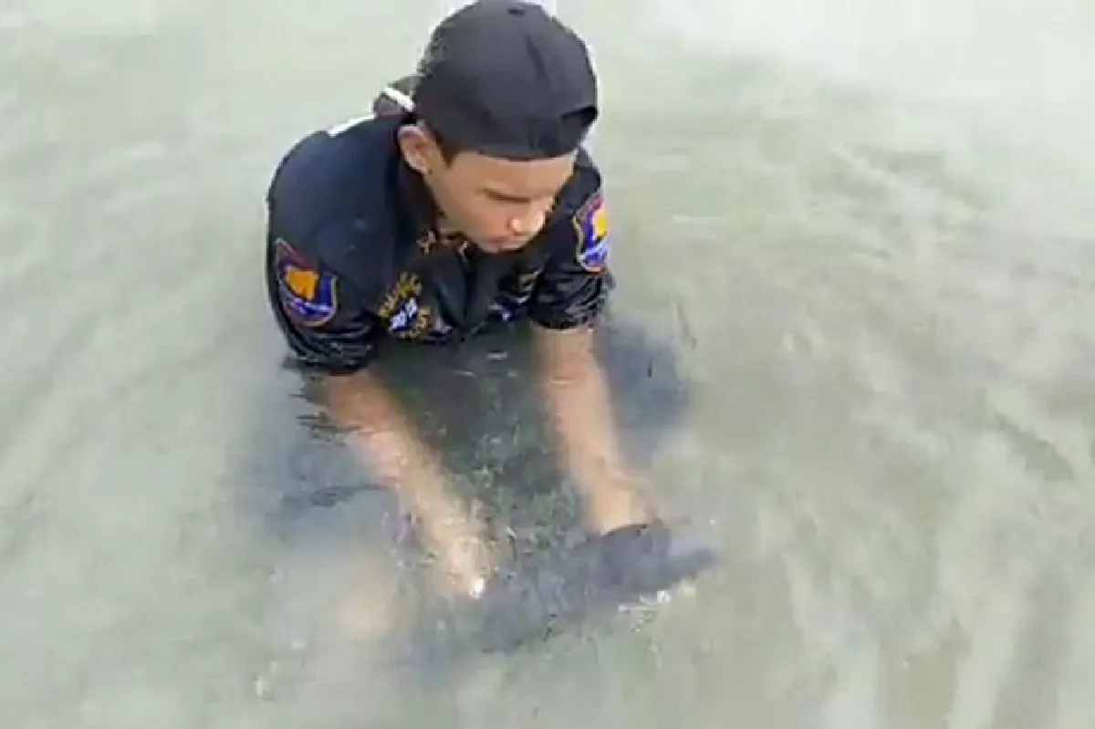 นาทีชีวิต!ลูกโลมาหัวบาตรขนาดเล็กถูกคลื่นซัดเกยชายฝั่ง