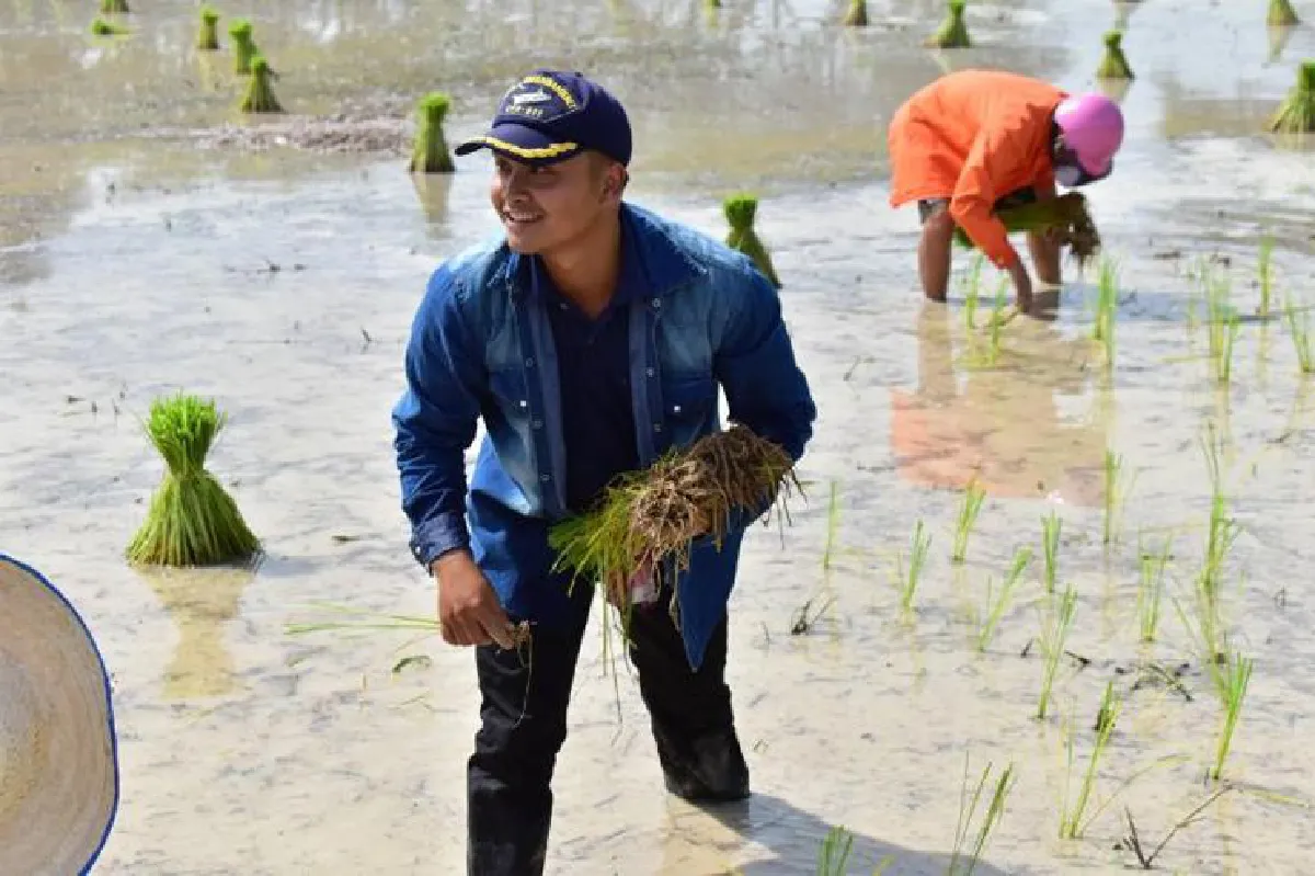 สอนคนเจนวาย ‘ให้รู้เรื่องข้าว’