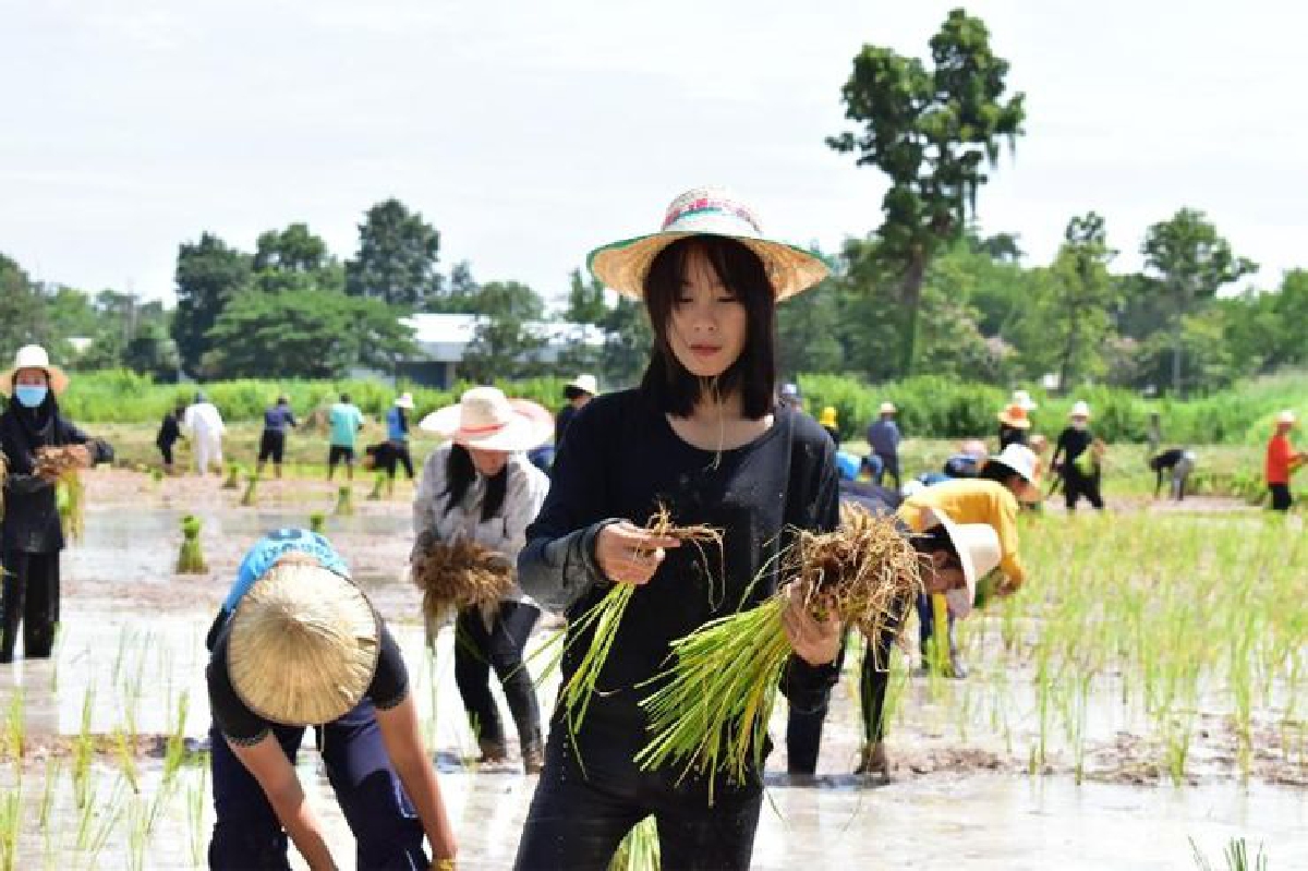 สอนคนเจนวาย ‘ให้รู้เรื่องข้าว’ สอนคนเจนวาย ‘ให้รู้เรื่องข้าว’
