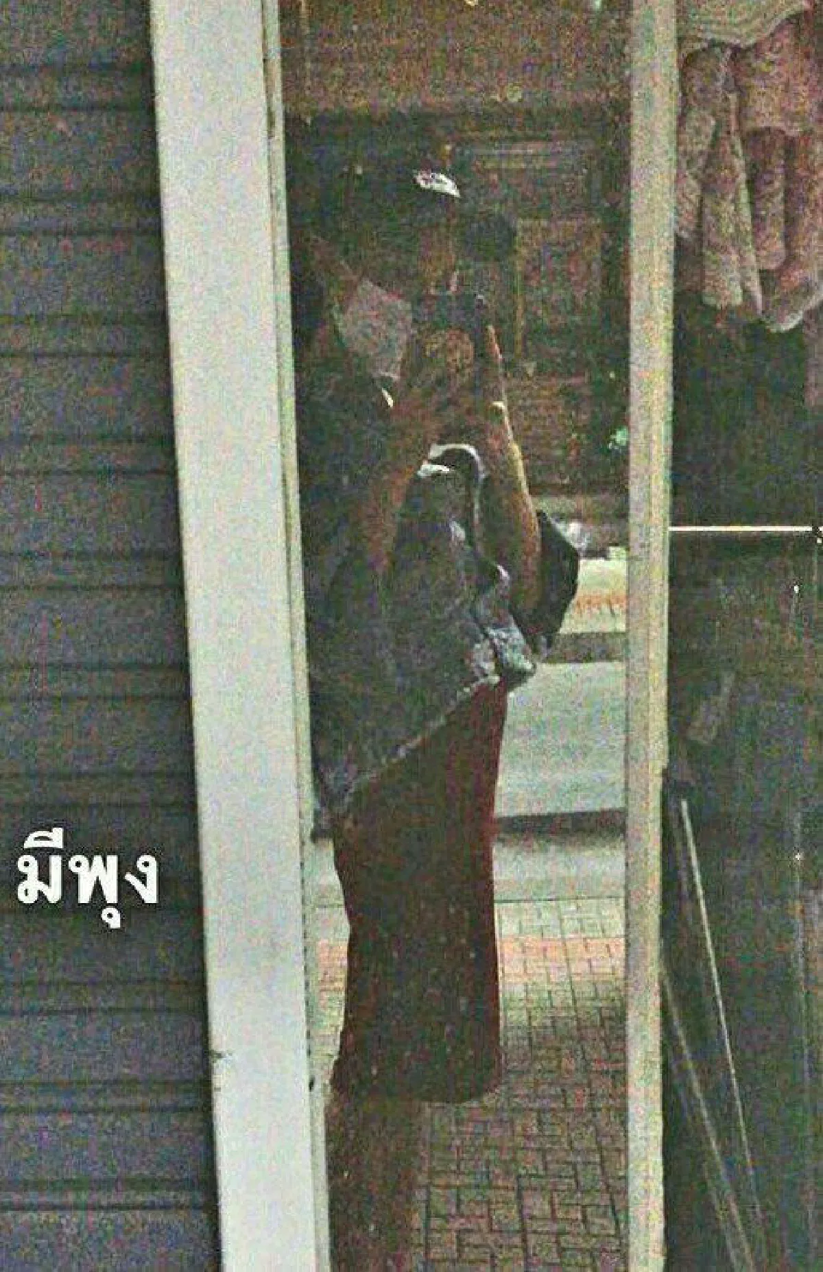 ชาวทวิตจับผิด มิ้ง ศวภัทร ในวันที่แท้งรีวิวสินค้า แถมยังโชว์ท้องป่อง