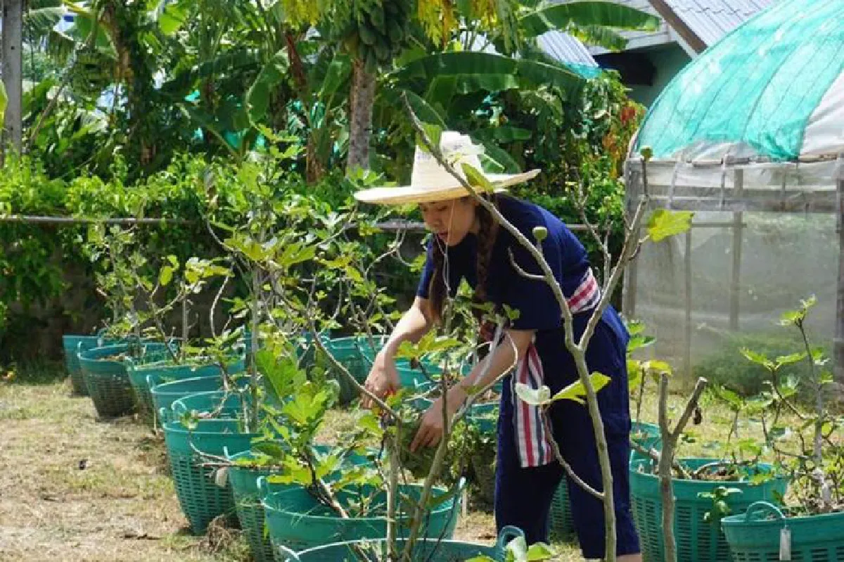 ฤทัยรัตน์ สุวรรณเจริญ ความสุขเล็กๆ แต่มั่นคงและยั่งยืน