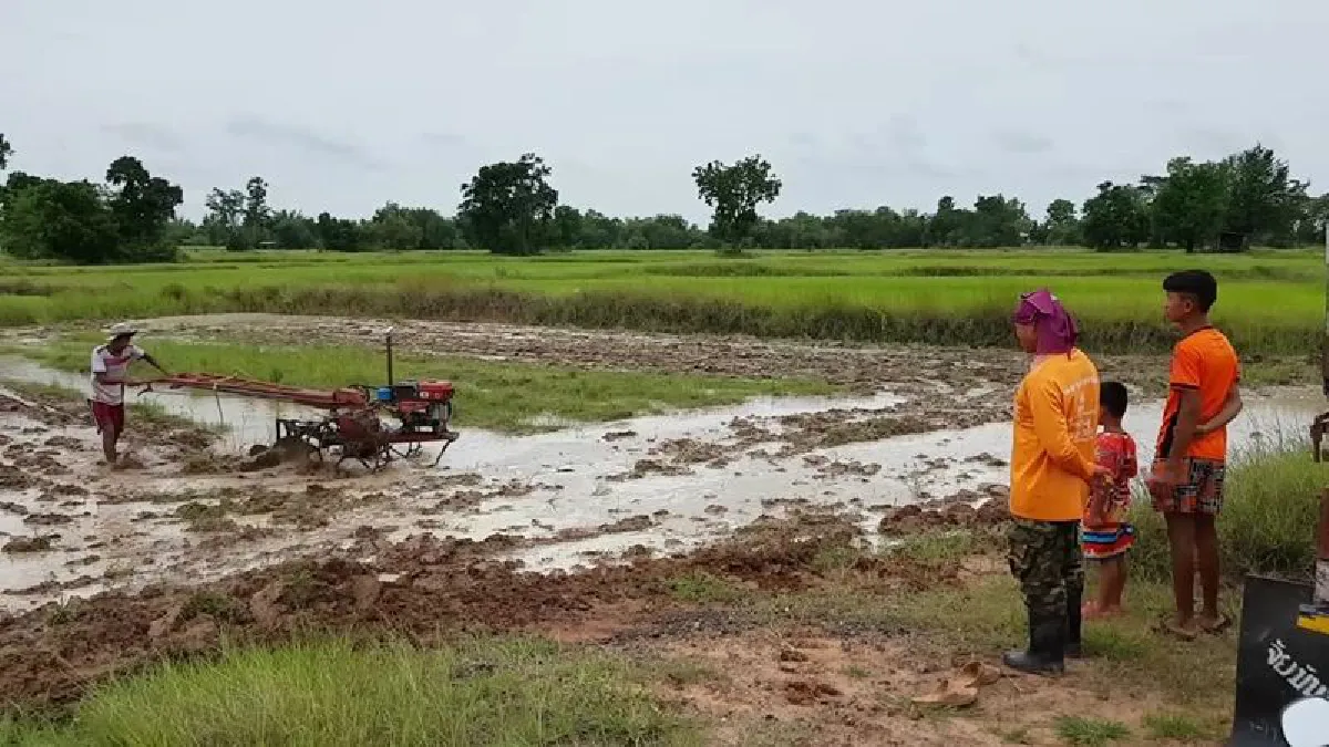 "คิดเป็นเห็นเงิน"โจ๋โคราชรับจ้างไถนาหารายได้เสริม