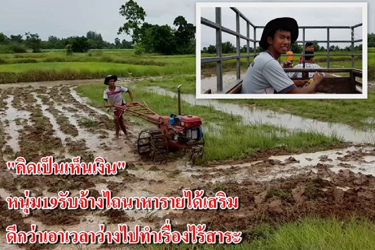 "คิดเป็นเห็นเงิน"โจ๋โคราชรับจ้างไถนาหารายได้เสริม "คิดเป็นเห็นเงิน"โจ๋โคราชรับจ้างไถนาหารายได้เสริม