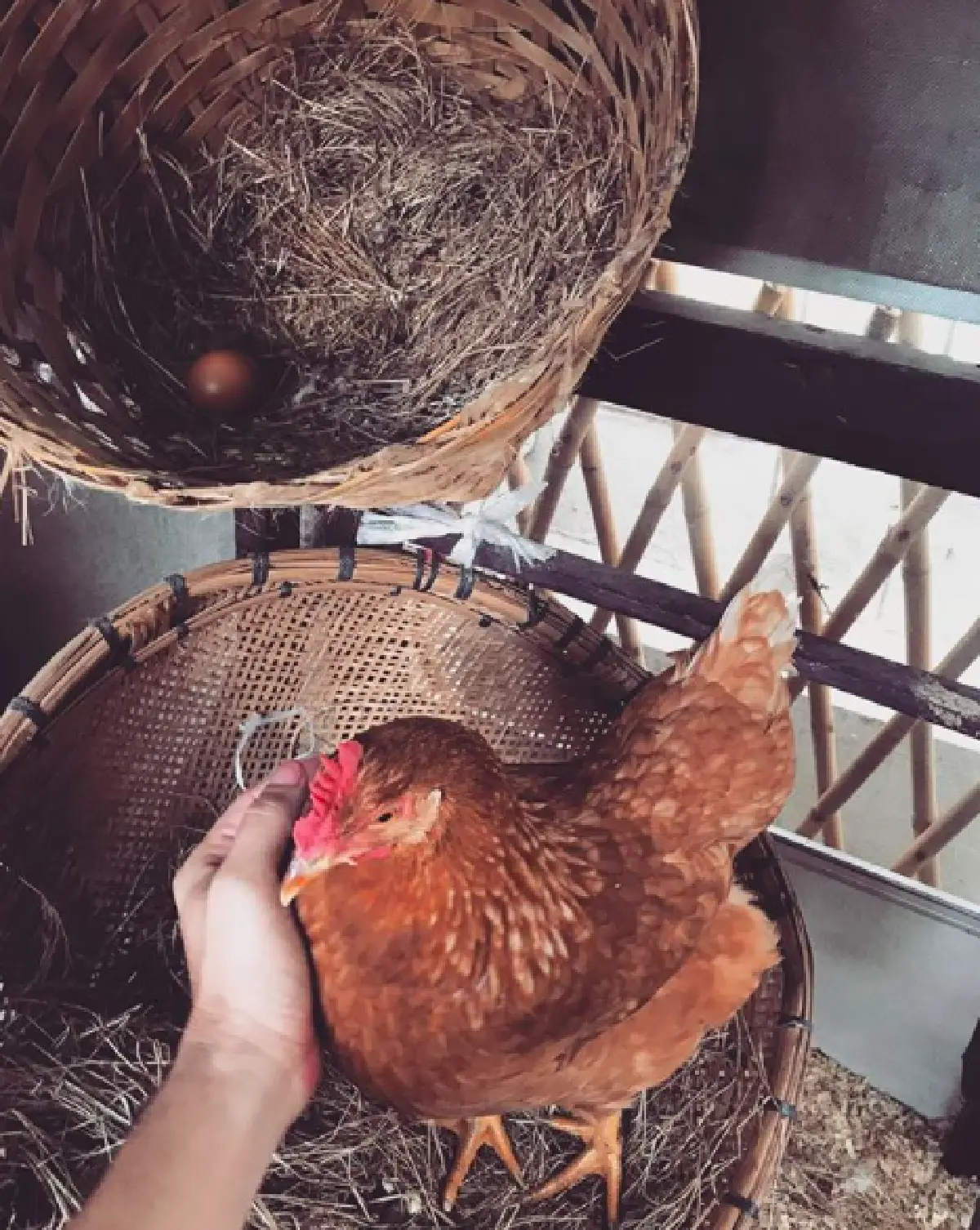 ชีวิตร่มรื่น! เปิดบ้าน “อ้น สราวุธ” กับมุมส่วนตัวแสนรื่นรมย์ พร้อมสัตว์เลี้ยงต่างๆ