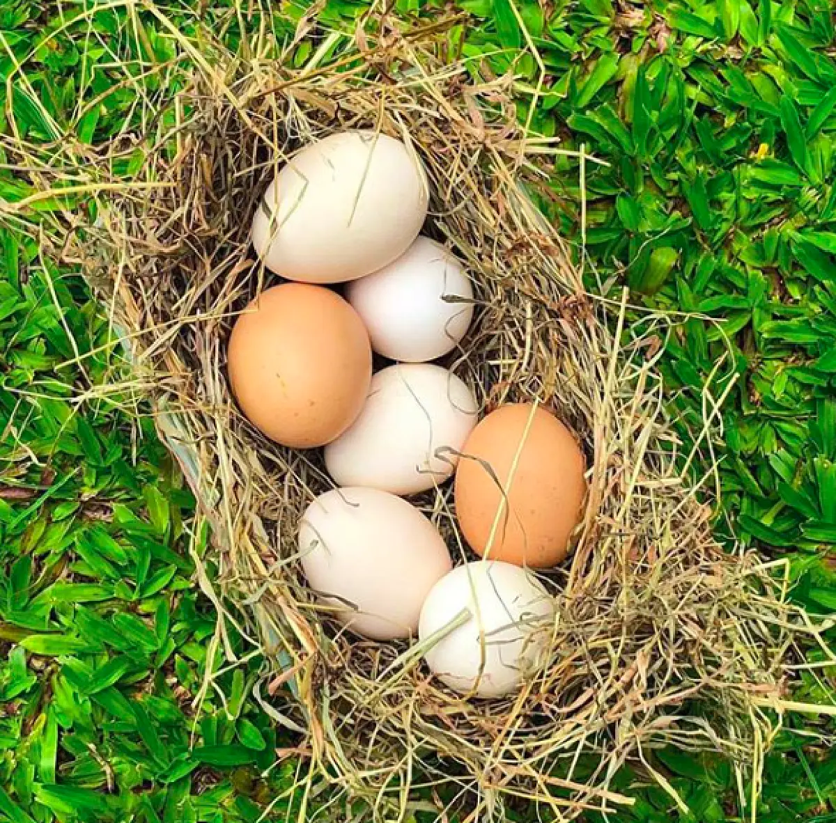 ชีวิตร่มรื่น! เปิดบ้าน “อ้น สราวุธ” กับมุมส่วนตัวแสนรื่นรมย์ พร้อมสัตว์เลี้ยงต่างๆ