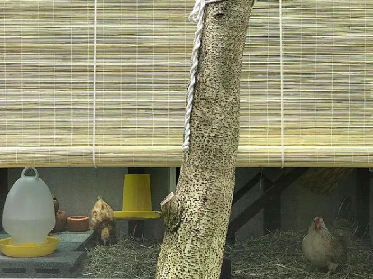 ชีวิตร่มรื่น! เปิดบ้าน “อ้น สราวุธ” กับมุมส่วนตัวแสนรื่นรมย์ พร้อมสัตว์เลี้ยงต่างๆ