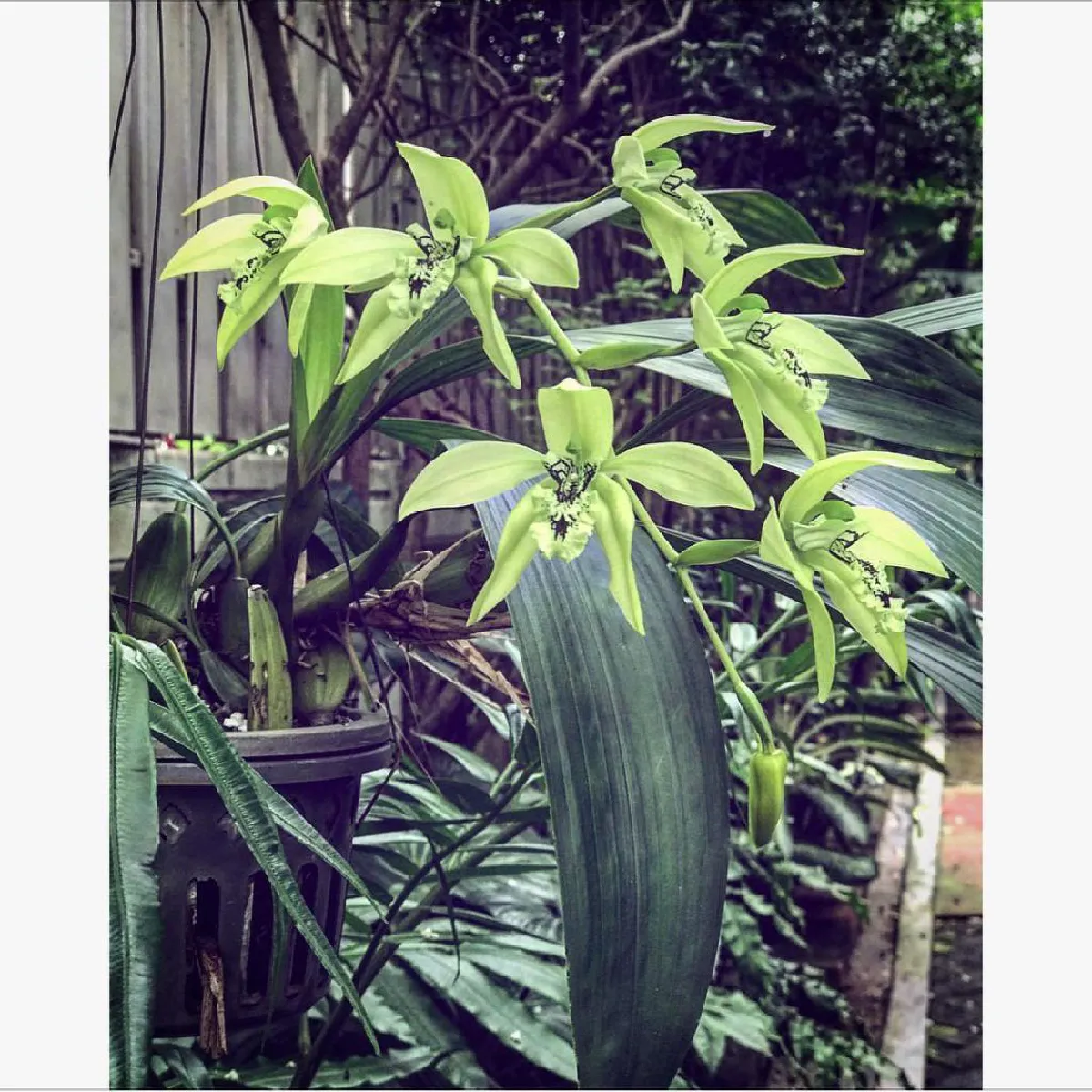 ชีวิตร่มรื่น! เปิดบ้าน “อ้น สราวุธ” กับมุมส่วนตัวแสนรื่นรมย์ พร้อมสัตว์เลี้ยงต่างๆ