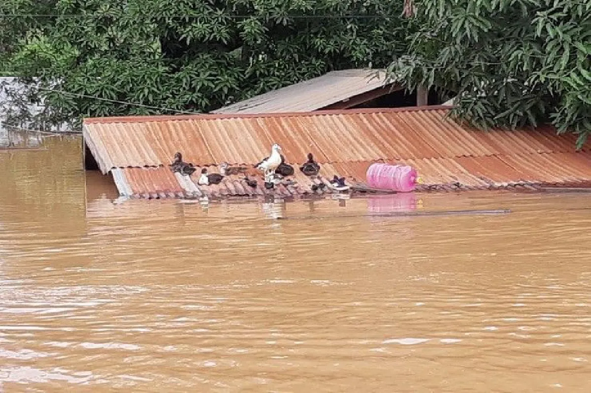 สื่อลาวเผยภาพความเสียหายเหตุเขื่อนเซเปียนแตก