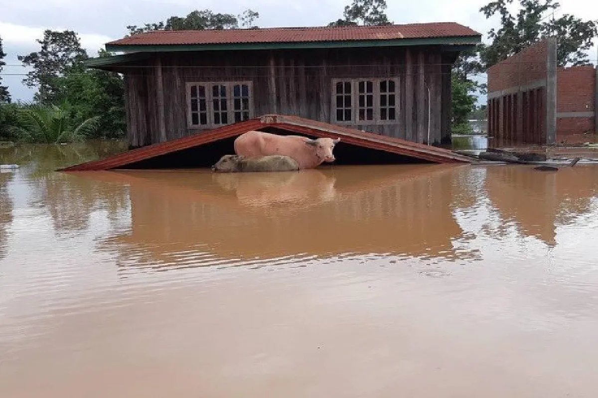 สื่อลาวเผยภาพความเสียหายเหตุเขื่อนเซเปียนแตก