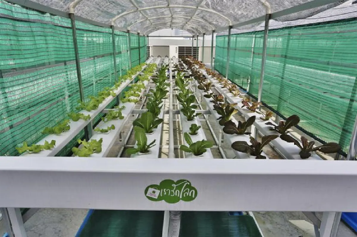 ธัญญาพาร์ค ใส่ใจ แบ่งปัน รักษ์โลก