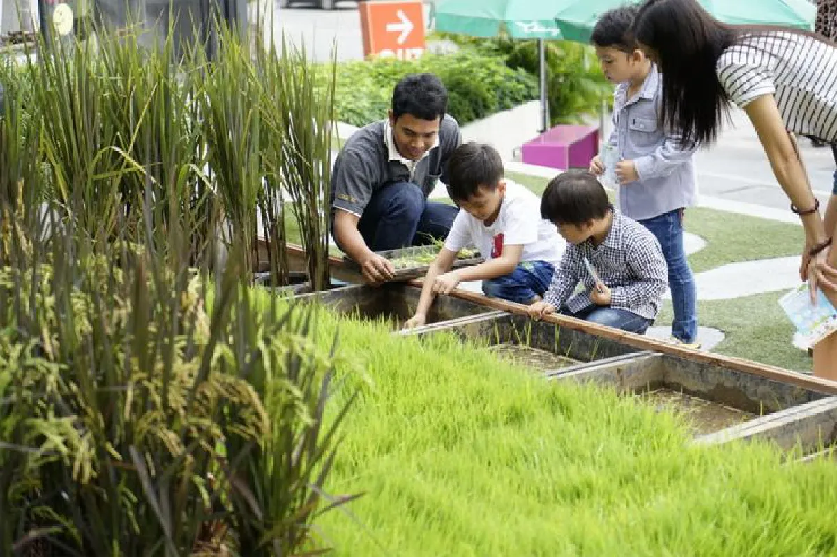 ธัญญาพาร์ค ใส่ใจ แบ่งปัน รักษ์โลก