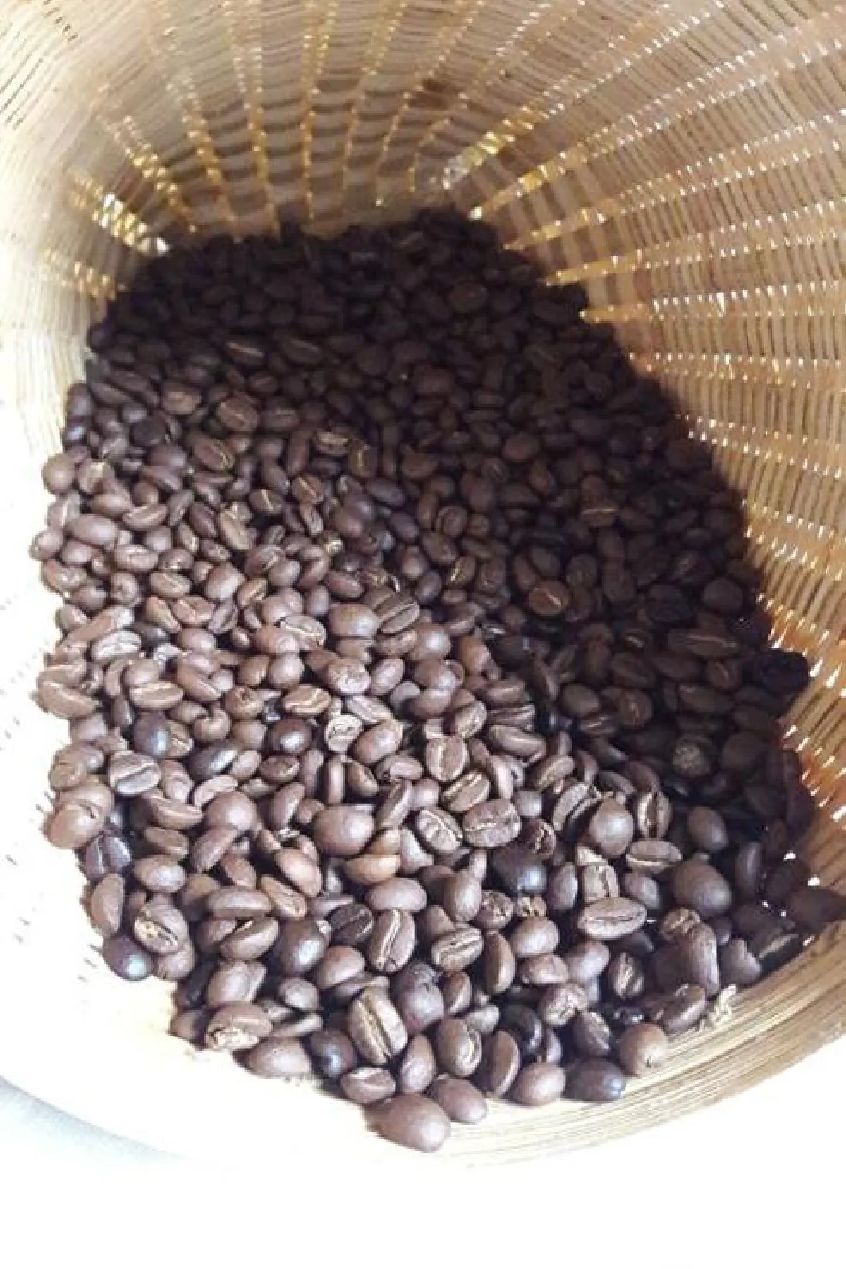 ‘เทพเสด็จ’ จากดอยสู่ แบรนด์พรีเมียมกาแฟไทย