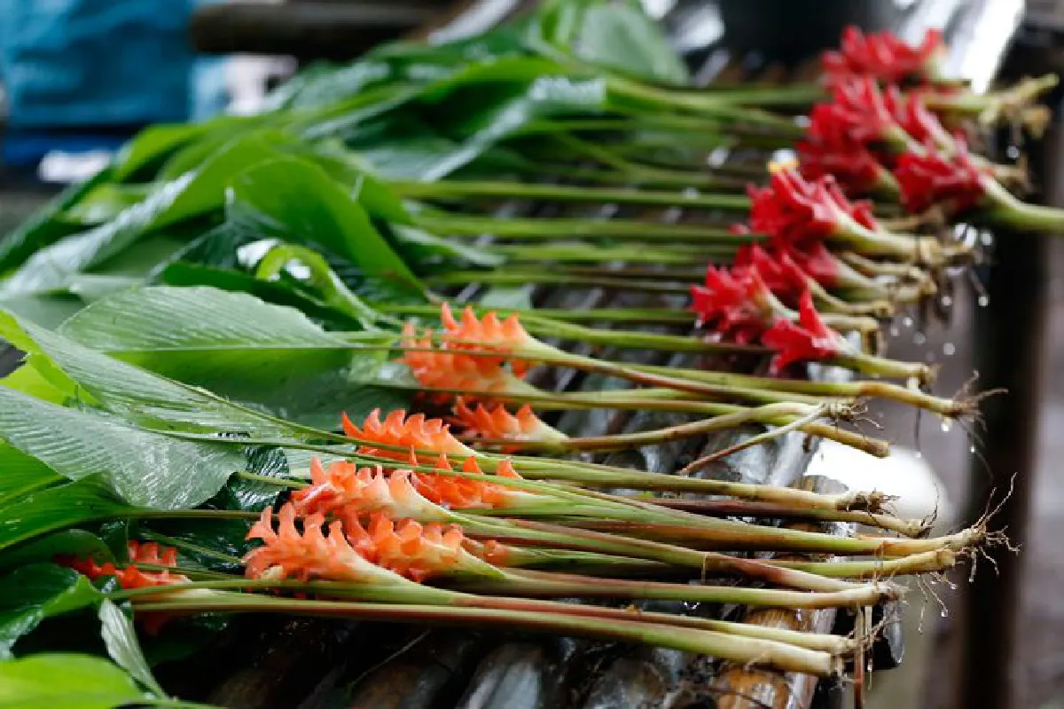 โลกอีกใบใน ‘สังขละบุรี’