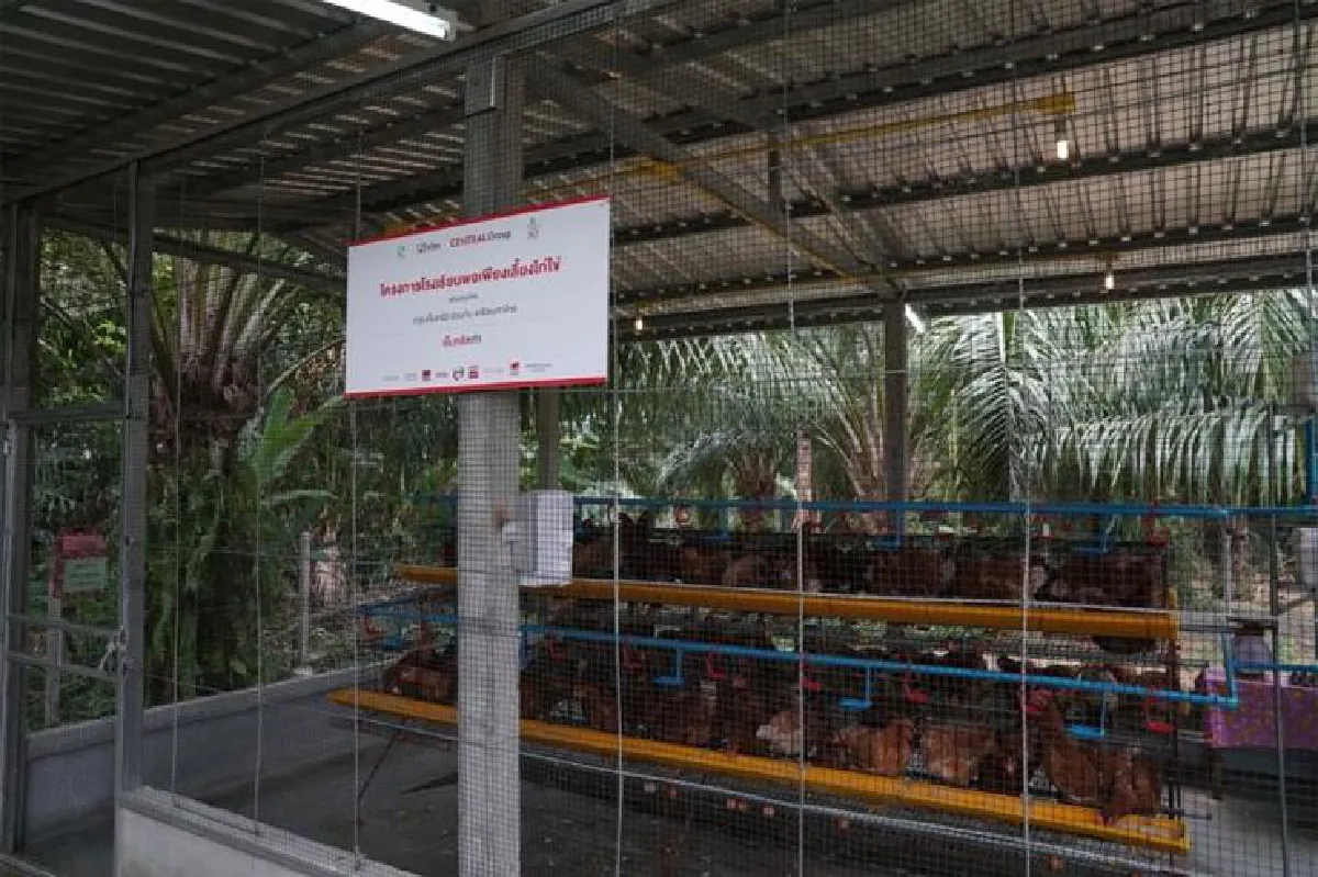 โครงการพอเพียงเลี้ยงไก่ไข่ หนุนโรงเรียนมีกินยั่งยืน