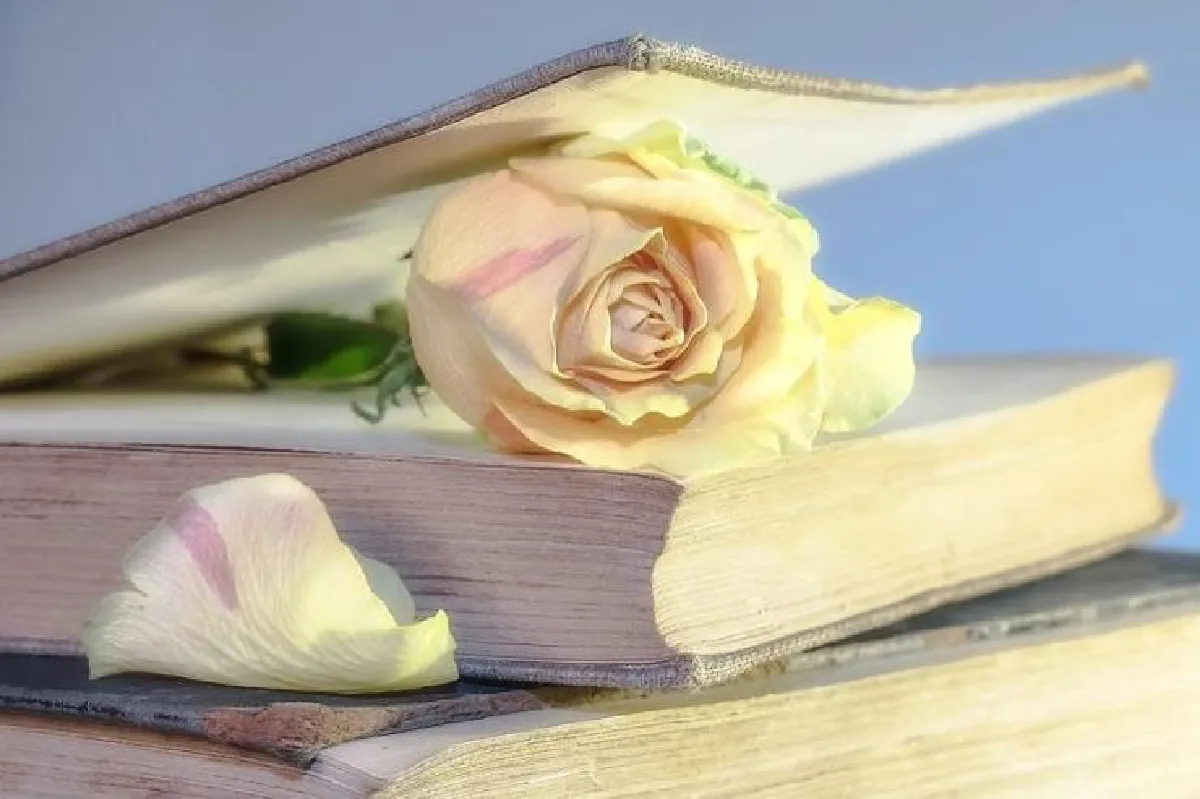 เหตุเกิดจากความรัก