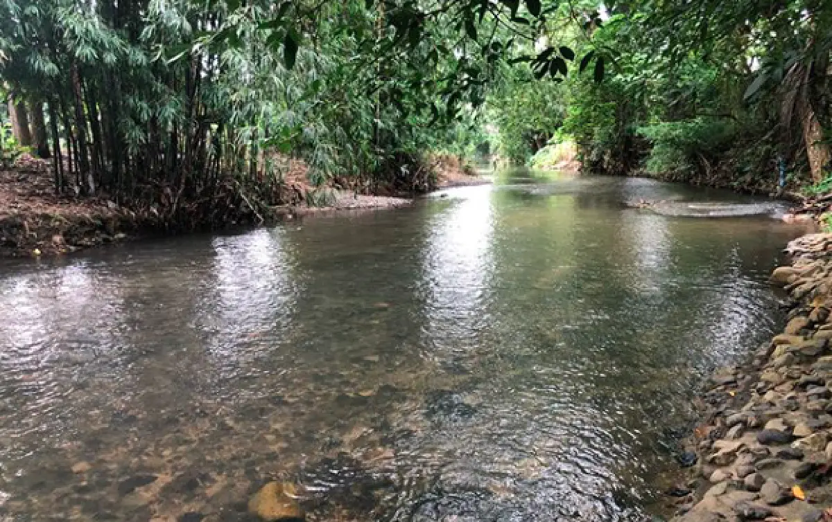 "เมย์ ปทิดา” จับมือ "น้องมายู” กลับบ้านสวนบรรยากาศดีมาก แถมติดลำธาร