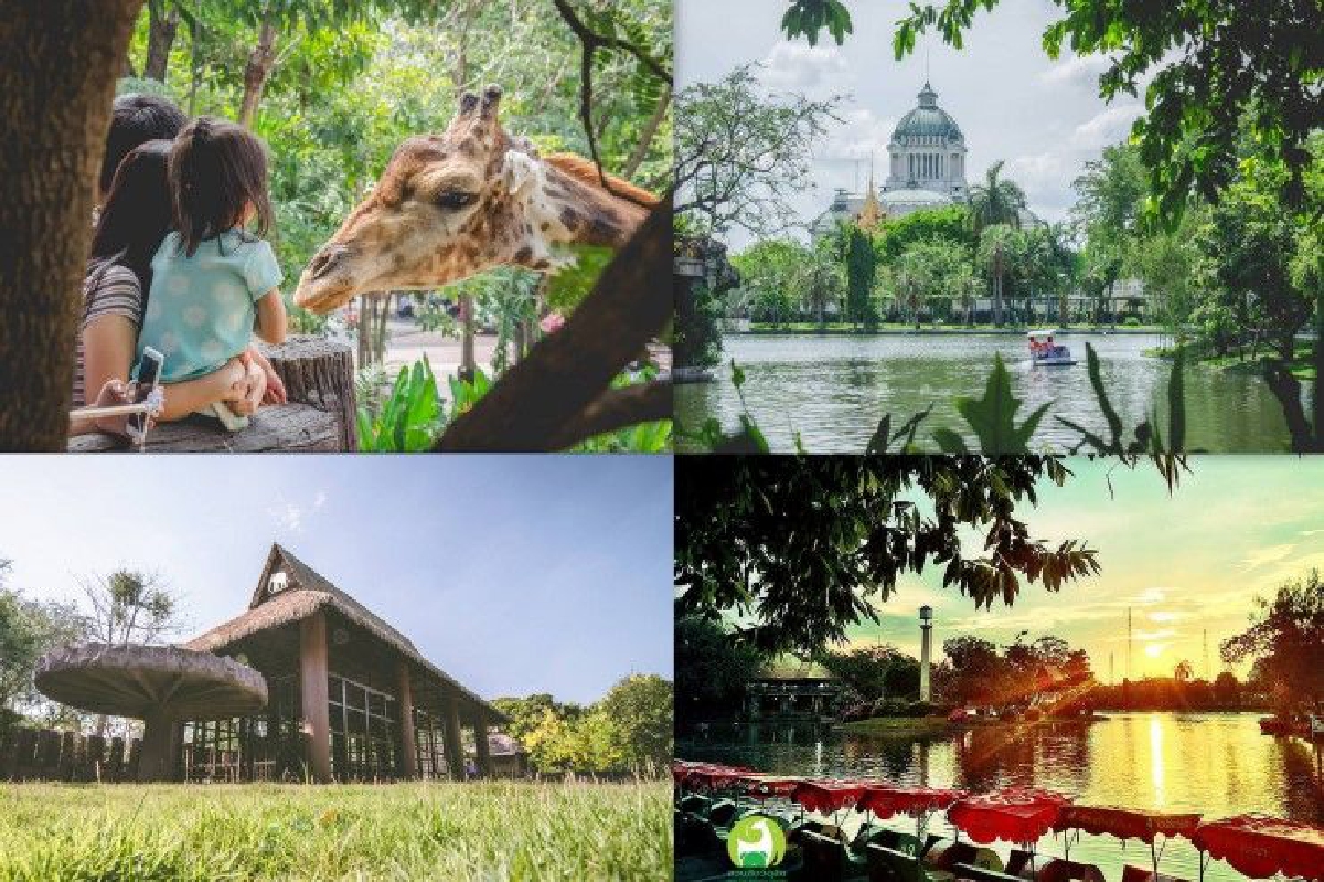 "สวนสัตว์ดุสิต" เปิดให้เที่ยวชมที่เก่าถึงสิ้นเดือนนี้ ก่อนย้ายไปคลอง6 "สวนสัตว์ดุสิต" เปิดให้เที่ยวชมที่เก่าถึงสิ้นเดือนนี้ ก่อนย้ายไปคลอง6