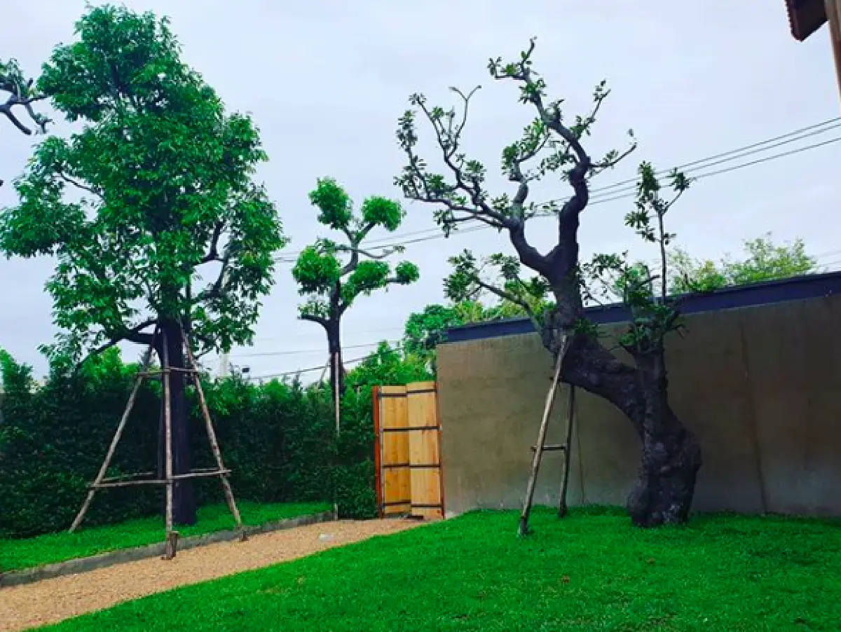 สวย อลังการ กับบ้านหลังใหม่ "บอย พิษณุ” อีกเพียงแค่อึดใจเดียวเท่านั้น