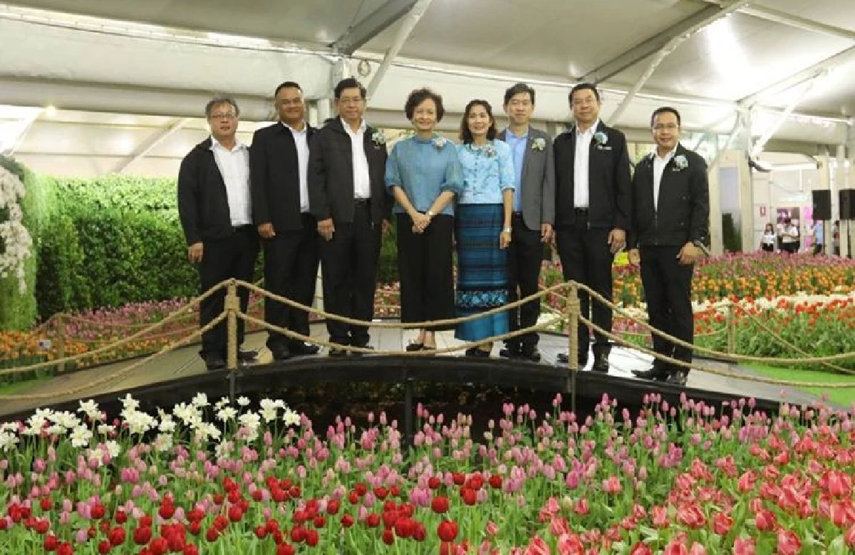 ปตท. เชิญร่วมชมงาน "มหัศจรรย์ไม้เมืองหนาวครั้งที่ 7 ทิวลิปบานที่ระยอง"