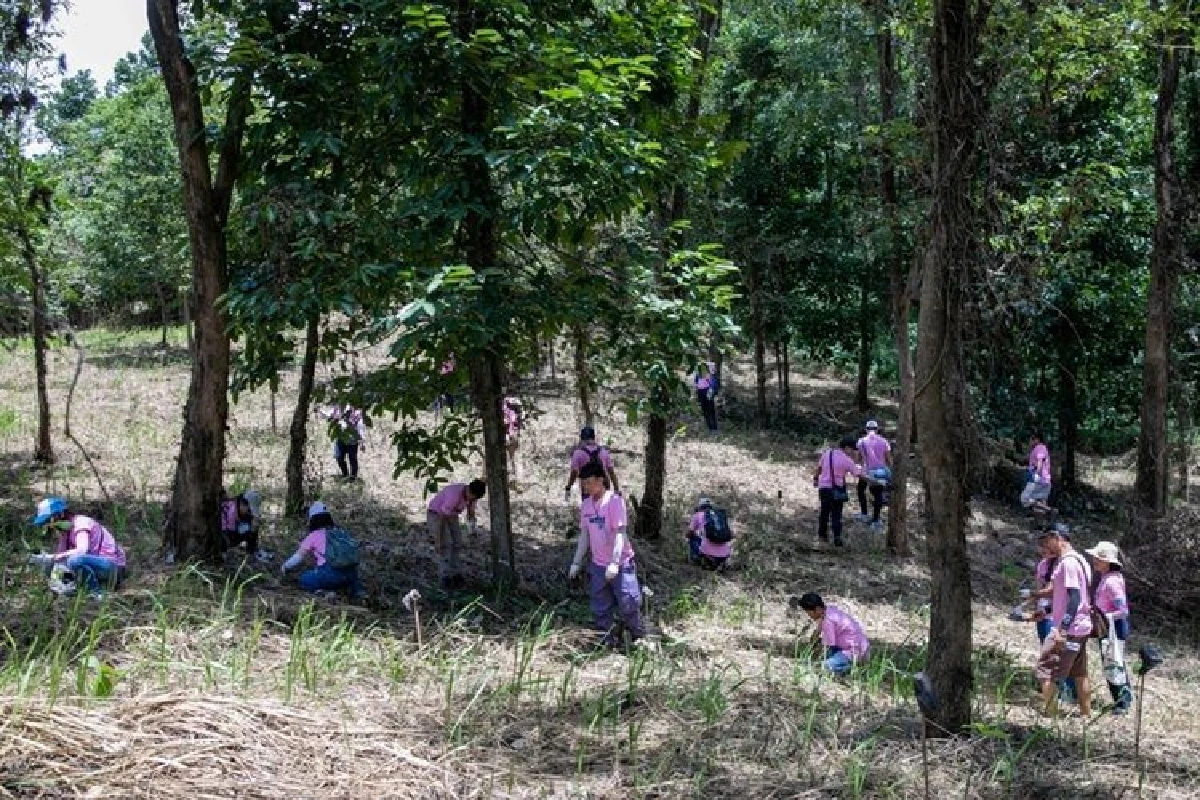 NYK Group holds the 12th Carbon Neutral Project