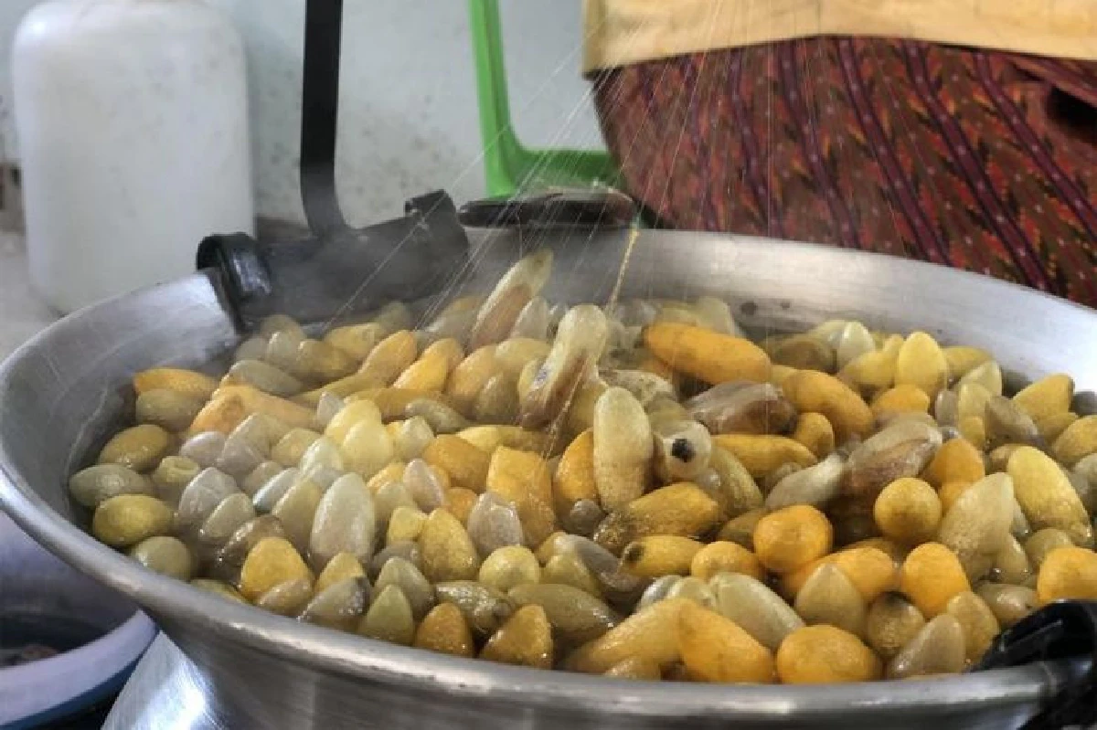 สืบสานตำนานผ้าไหมเมืองอุบลฯ ศูนย์ศิลปาชีพ‘บ้านสมพรรัตน์’