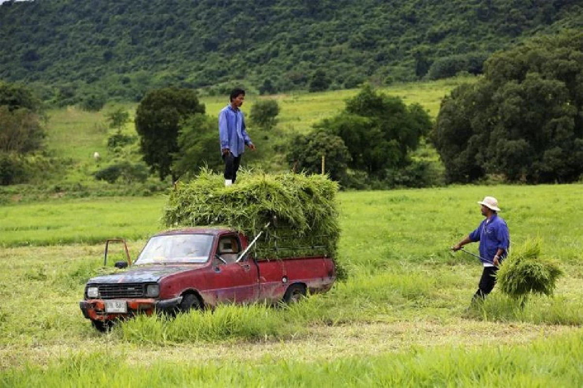 จากพื้นที่สีแดงกลายเป็นดินแดนสีเขียว กรีนบุรี กุยบุรี