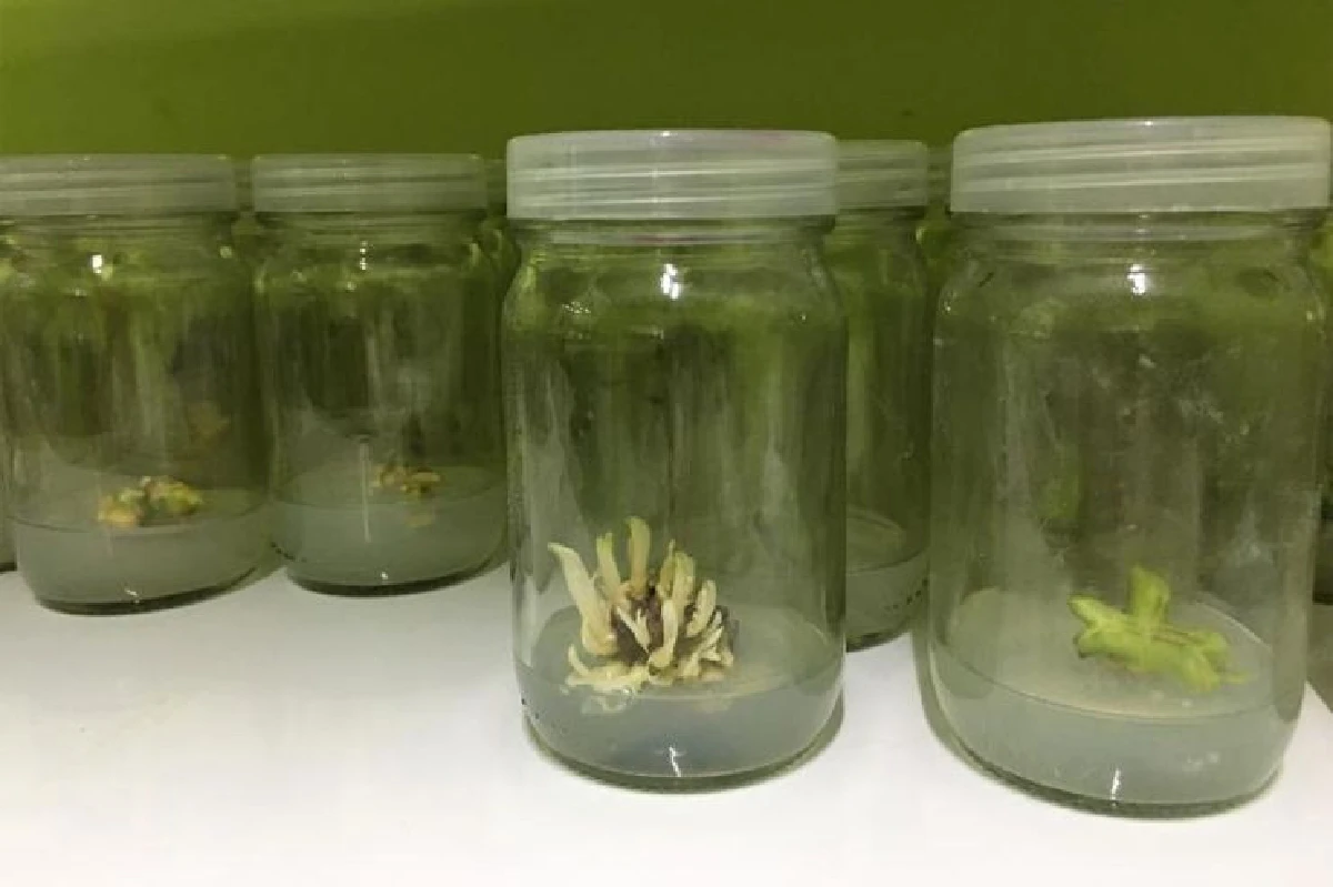 บ้านไร่ทองสุข เกษตรผสมผสาน สร้างฟาร์มเติบโต