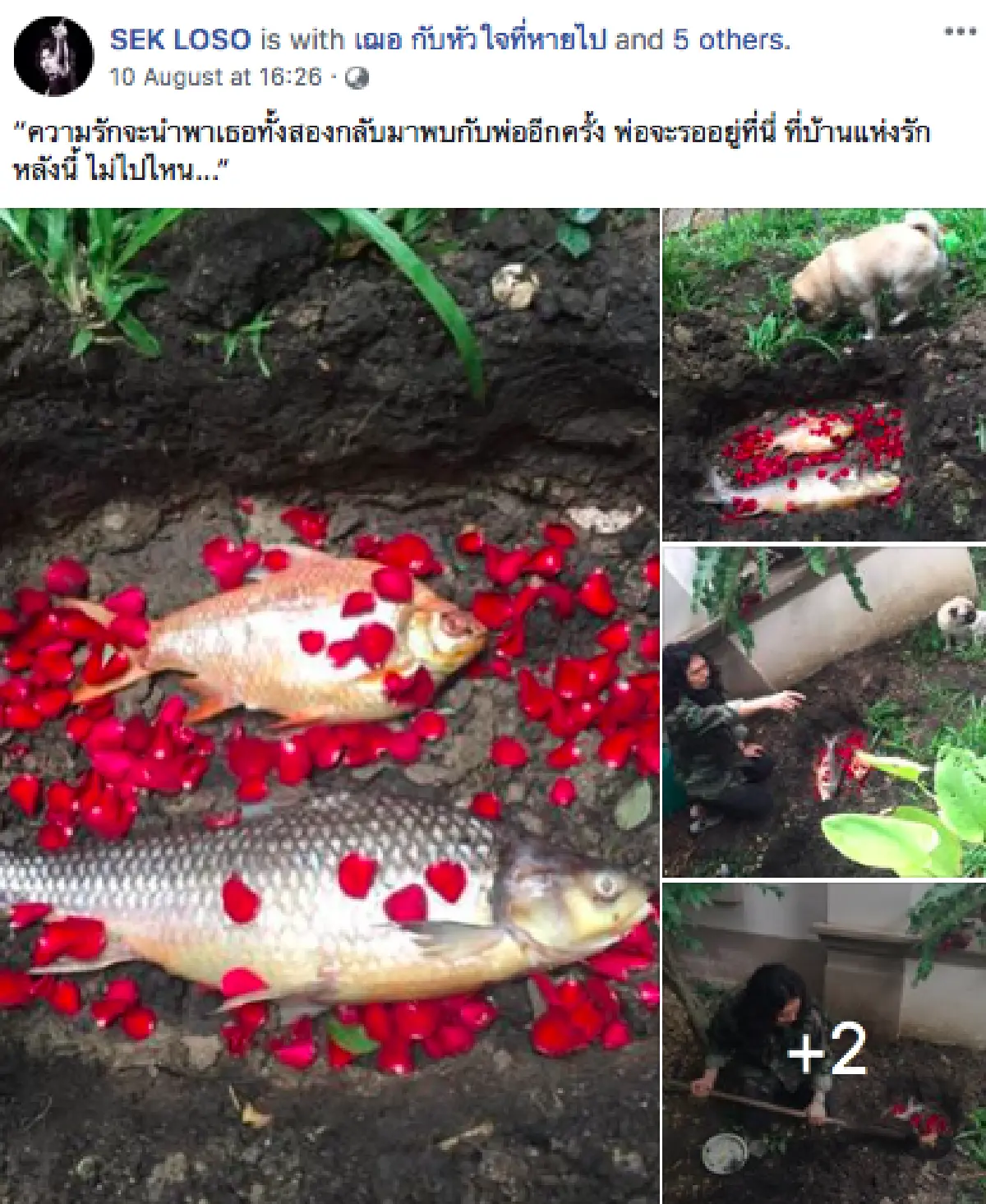เศร้าหนัก! “เสก โลโซ” ทำการจัดงานศพ ขุดฝังปลาที่เลี้ยงมา 17 ปี