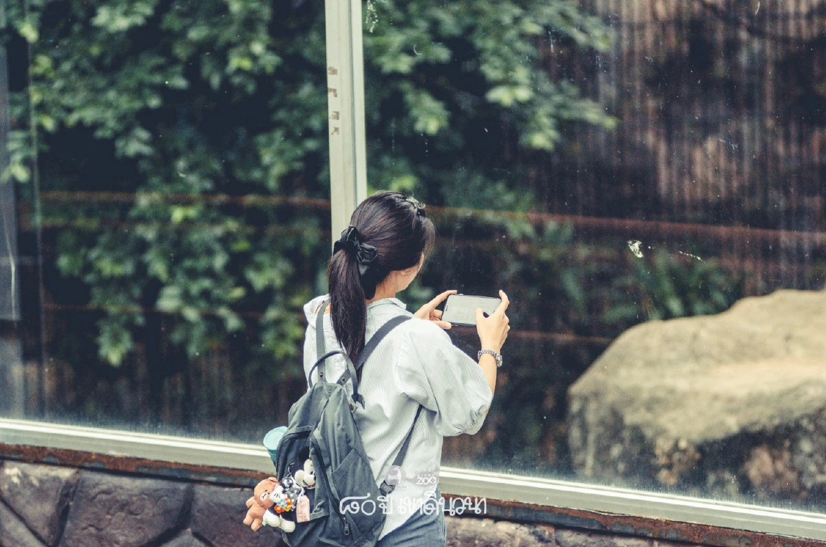 รวมภาพประทับใจ! คนแห่เก็บความทรงจำ "สวนสัตว์ดุสิต" ก่อนย้าย