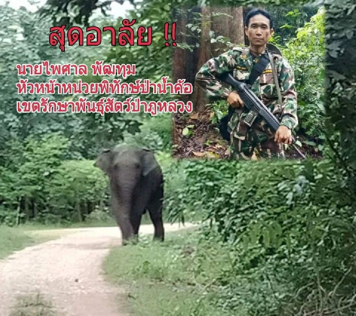 กรมอุทยานฯ เชิดชูผู้พิทักษ์ป่า ที่ถูกช้างทำร้ายเสียชีวิต