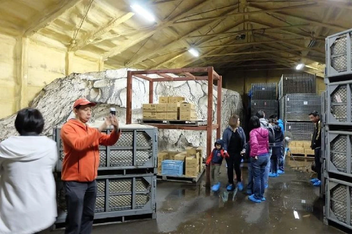 ขับรถเที่ยวฮอกไกโด 7 