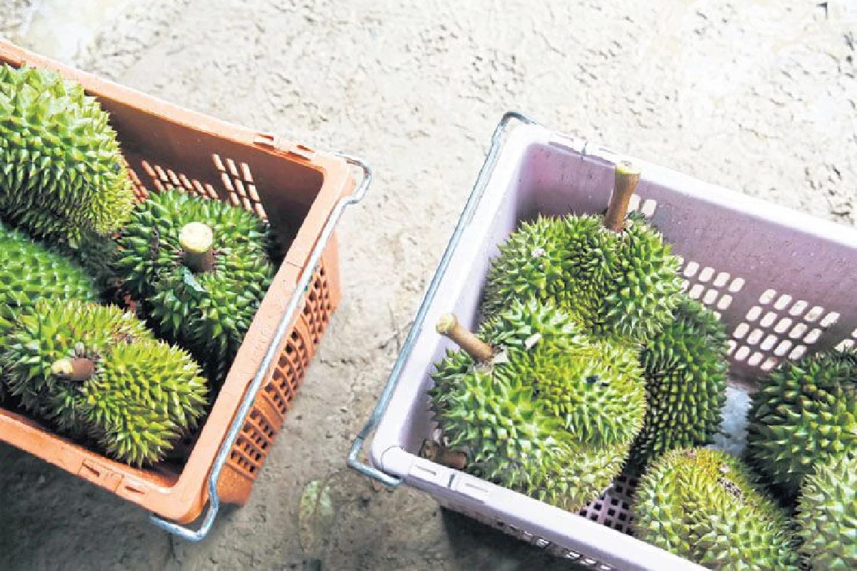 เมื่อ ‘หัวหิน’ เป็นแค่ทางผ่าน  ‘ประจวบคีรีขันธ์’ จะมีอะไร