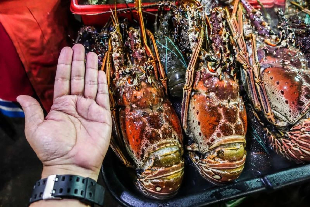 เสน่ห์ธรรมชาติบริสุทธิ์ บนเกาะบอร์เนียว