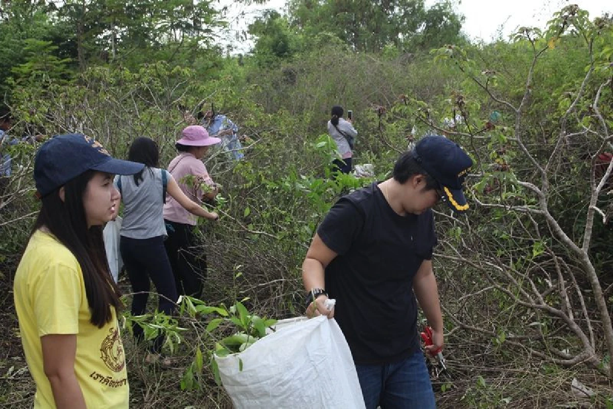 คุณยายเปิดพื้นที่14ไร่ให้คนเก็บต้นอังกาบหนูไปรักษามะเร็ง-เบาหวาน