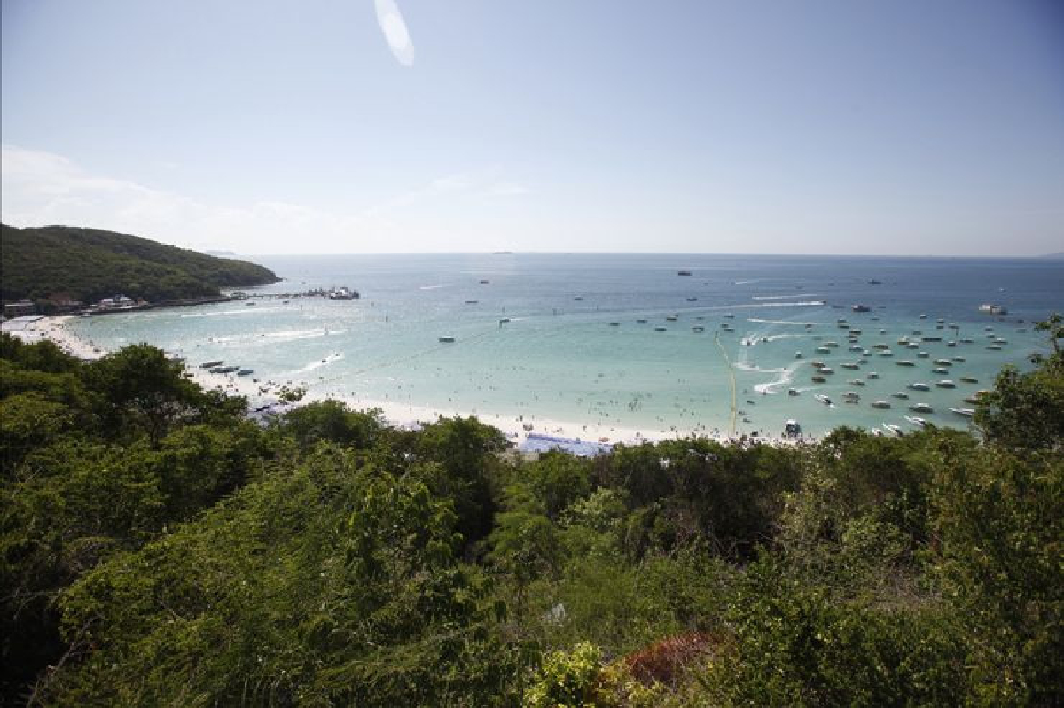 สถานการณ์เกาะล้าน สถานการณ์เกาะล้าน