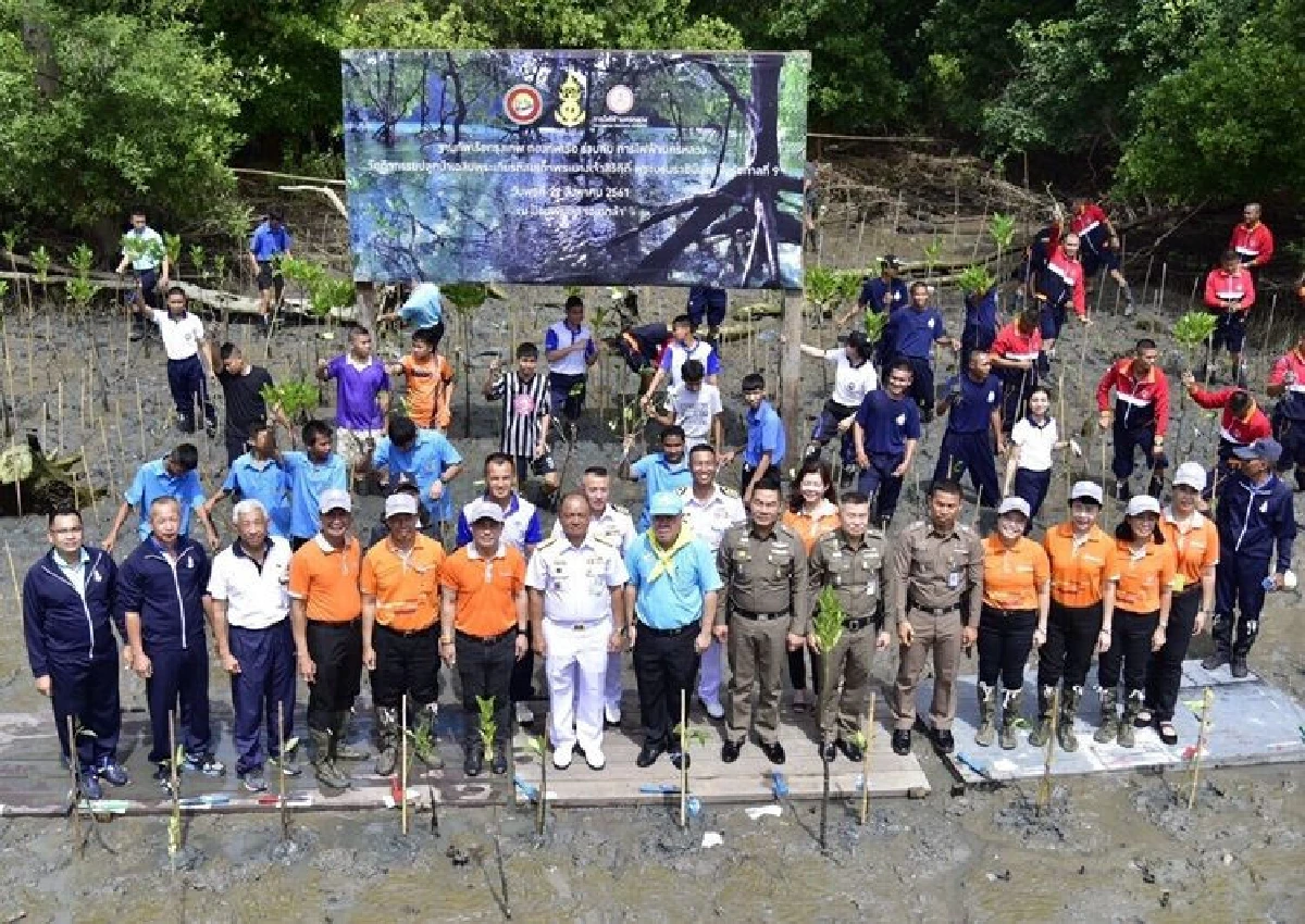 กฟน. จับมือฐานทัพเรือกรุงเทพฯ รวมพลังปลูกป่าชายเลนเฉลิมพระเกียรติฯ พร้อมปักเสาไฟสร้างแนวป้องกันคลื่นทะเล ฟื้นฟูธรรมชาติอย่างยั่งยืน