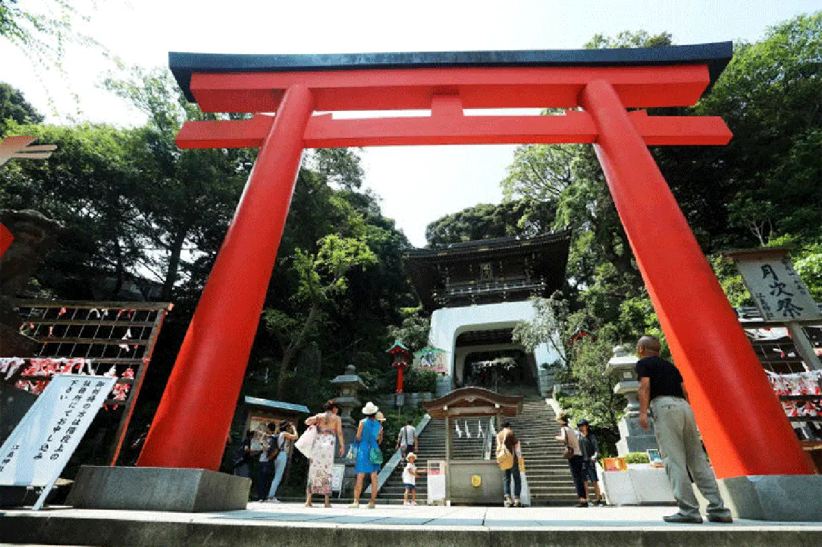 หนีฝนไปซบร้อน กับเจ้าฟูจิขี้อาย